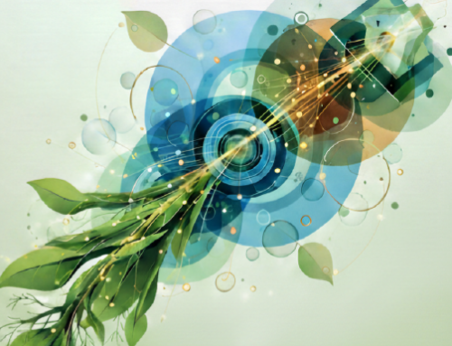 Evaluation of the Circular Bioeconomy Potential at the Regional Level | Case Study of Žilina Region (Slovakia)